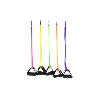 TheraSlide Rail System- Replacement Bands With Handles And Clip