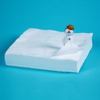 Cleanroom Wipes, 12 x 12