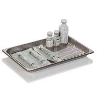 Stainless Steel Tray, 10 x  x 6
