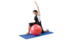 Thera-Band Pro Series SCP Balls