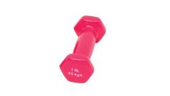 1 lb. Dumbbell, Pink