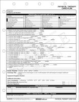 Physical Therapy Care Plan 3506/2P