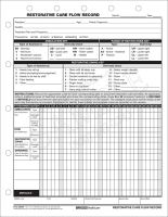Restorative Care Flow Record