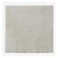Biatain Calcium Alginate/CMC/Ionic Silver Wound Dressing 4x4" Sterile White