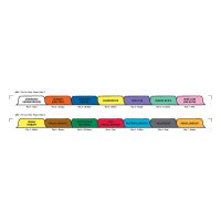 Chart Divider Set - Paper - Hospice - 14 Tabs Side