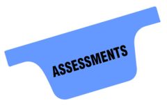 Chart Divider Tab - Assessments - Tyvek - Side