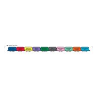 Chart Divider Set - Tyvek - Home Care - 10 Tabs Side