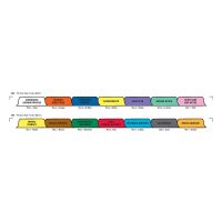 Chart Divider Set - Tyvek - Hospice - 14 Tabs Side