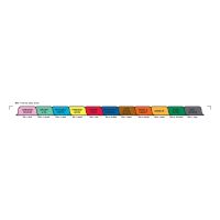 Chart Divider Set - Tyvek - Long-Term Care - 11 Tabs Side