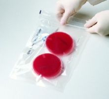 Anaerobe Pouch System BD Gaspak
