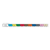 Chart Divider Set - Poly - Long-Term Care - 11 Tabs Side
