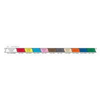 Chart Divider Sets - Poly- Hospital - 11 Tabs Side