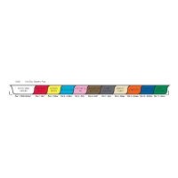 Chart Divider Sets - Poly - Hospital - 11 Tabs Bottom
