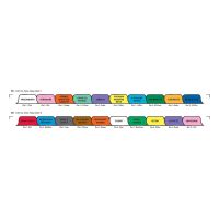 Chart Divider Set - Paper - Long-Term Care - 20 Tabs Side