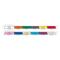 Chart Divider Set - Poly - Long-Term Care - 12 Tabs Side