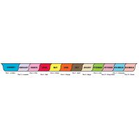 Chart Divider Set - Poly - 12-Month (Jan-Dec)- 12 Tabs Bottom
