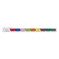 Chart Divider Set - Poly - Home Care - 10 Tabs Side