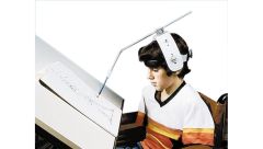 Adjustable Head Pointer