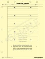 Laboratory Mount Report Sheet with Adhesive Strips