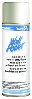 Diversey Wall Power Surface Cleaner Alcohol Based Foaming 20 oz. Can Floral Scent NonSterile