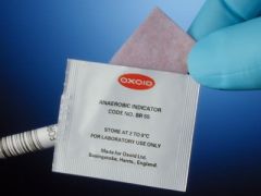 Anaerobic Indicator Oxoid
