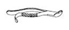 Extracting Forceps, Molar, Universal, Hook Handle