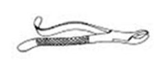 Extracting Forceps, Molars, Cuspids, Hook Handle