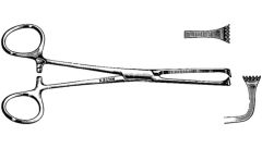 Miltex Allis Tissue Forceps