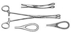 Foerster Sponge Forceps