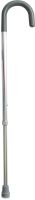 ProBasics Round Handle Cane (SIlver), 250 lb Weight Capacity, Sold 10/cs
