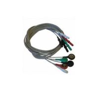 10-Lead Leadwire Set with Banana Plug