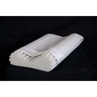 Core Products 103 Econo Wave Foam Pillow with Case