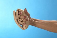 Finger Separator 