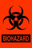 Label - Biohazard - 2" x 3"
