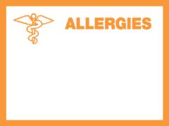 Chart Label - Allergies L-6394