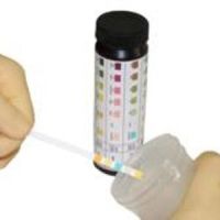 10 Parameter Urine Reagent Strip