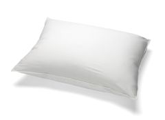 Frostlite Pillow Cover, Zipper Encasement, 21" x 27"