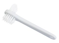 Denture plate brush