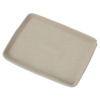 Food Service Tray Chinet® 9 X 12 X 1 Inch White Molded Fiber