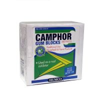 Camphor Gum Block