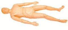 Rescue / First Aid Mannequin Extri Kelly Adult 58 lbs.