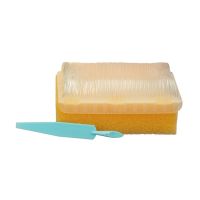 Sammons Preston Sensory Brushes, Molded Scrub Brush 6-pack