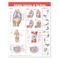 Athletic Injuries of the Knee Chart