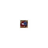 Economy Alarm Monitor & 20" x 30" Bed Pad (180 Day)
