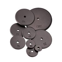 Cast Iron Standard Weight Plate, 20 lb.