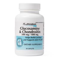 Glucosamine 500 mg + Chondroitin 400 mg Capsules by 21st Century  OTC099806