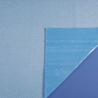 Absorbent Mat Blue Size M