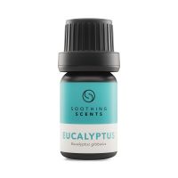 Essential Oil in QuickTAB Disposable-Tab Medipack, Eucalyptus, 2 oz.