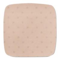Aquacel Ag Foam Adhesive Dressing by ConvaTec SQU420639