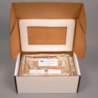 2-8 C REFRIG. SHIPPER 2/CS